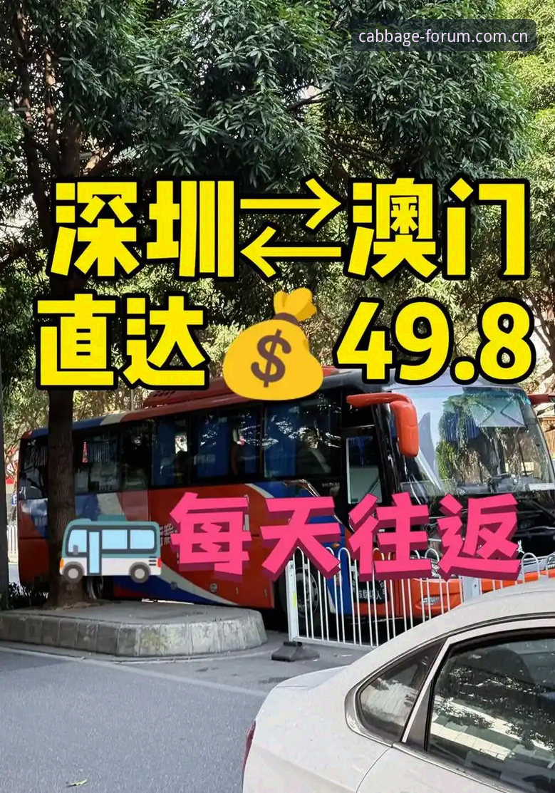 冠军白菜网最新地址 如何找到冠军白菜网最新地址?安全直达通道全解析