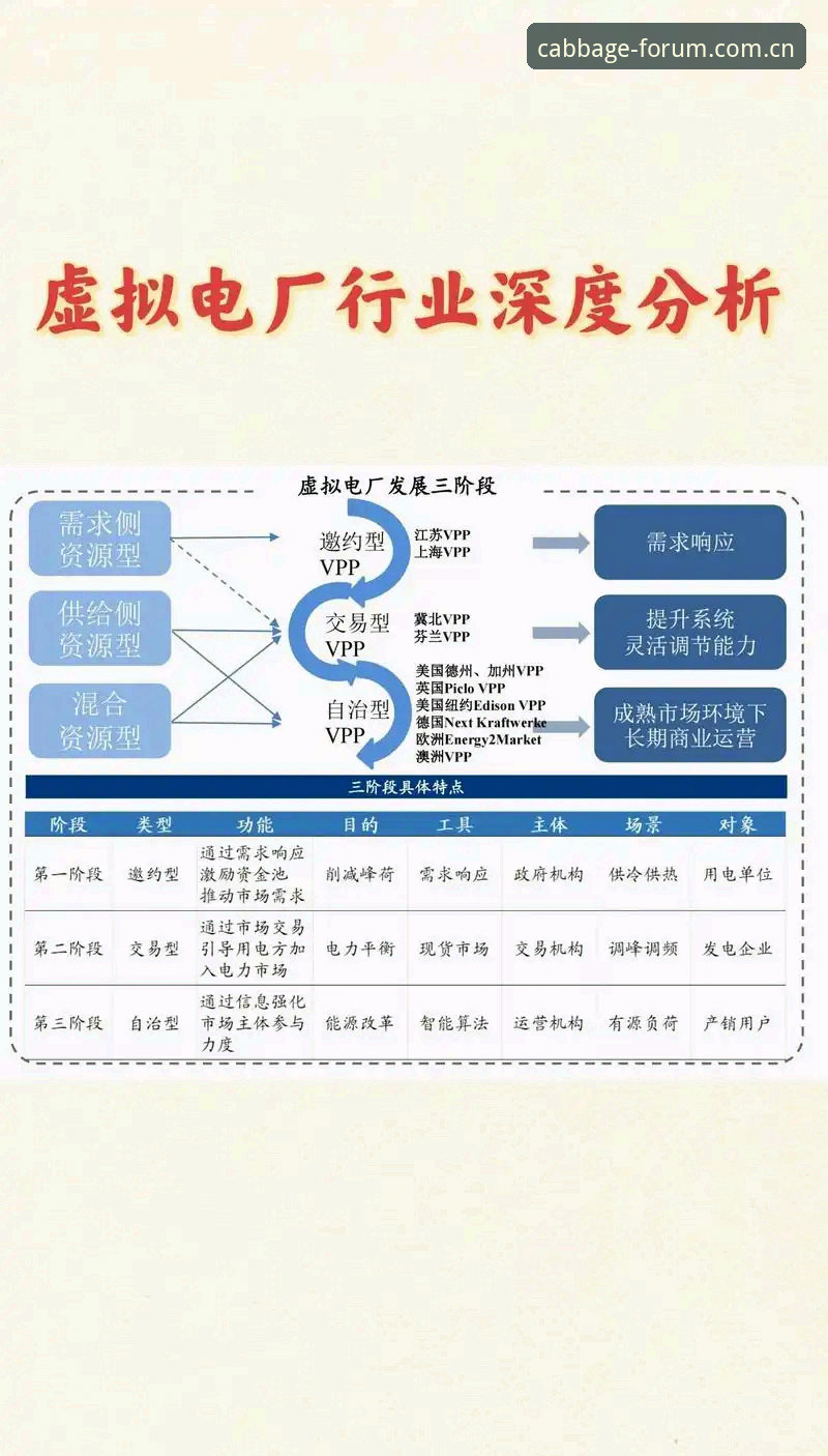 冠军白菜网安全访问 冠军白菜网安全访问路径全面解析:行业趋势与用户保障深度分析